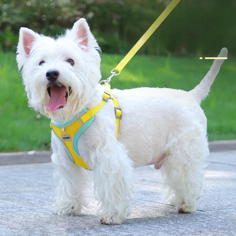 Breathable Harness with Night Reflective Strap Loved Furz